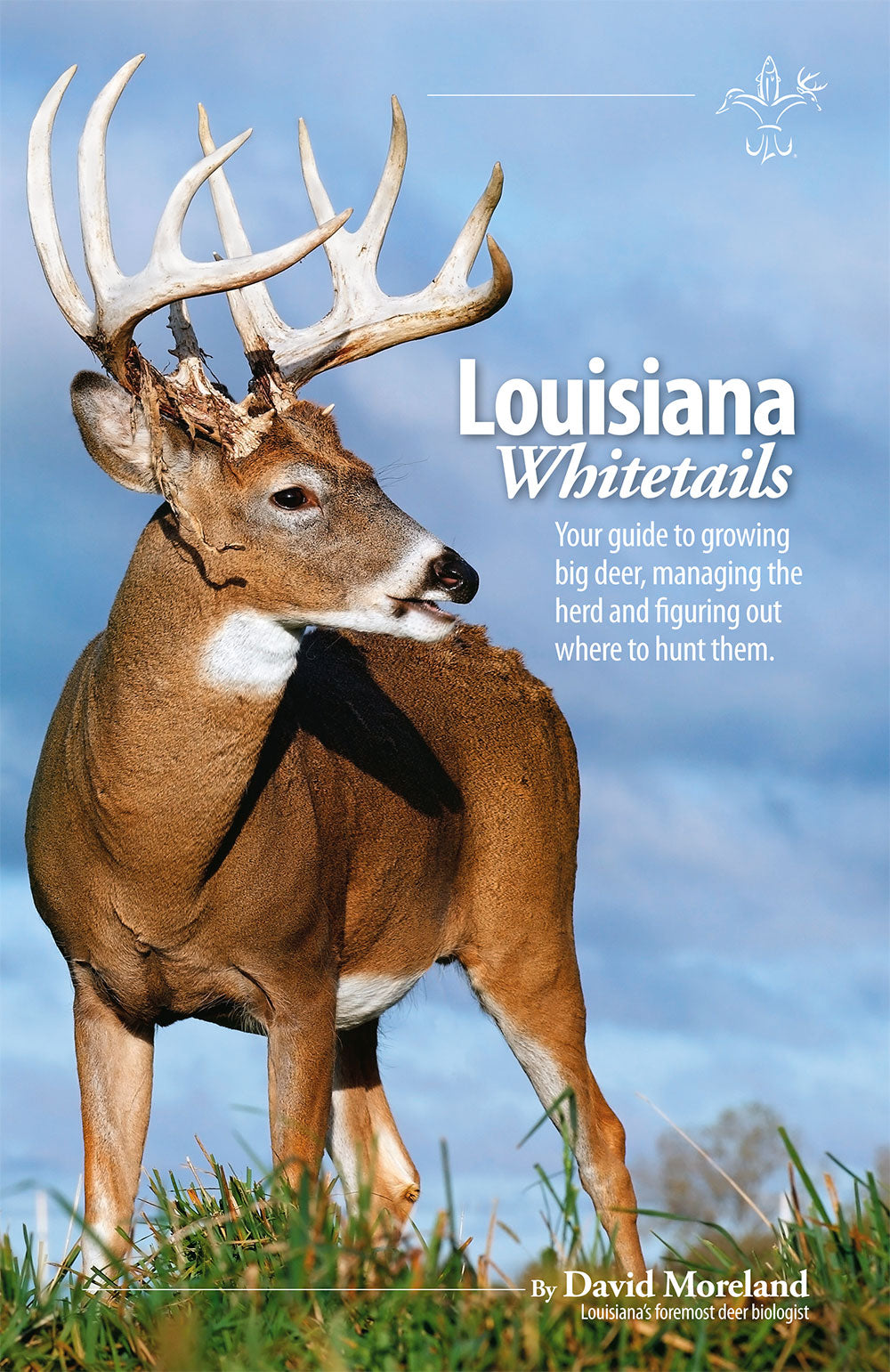 Louisiana Whitetails: Your guide to growing big deer, managing the herd and figuring out where to hunt them.